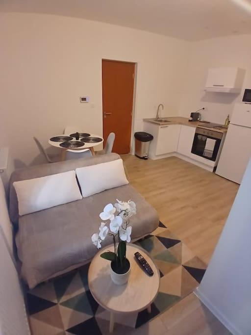 Appartement F1 Orchidee Mulhouse Bagian luar foto